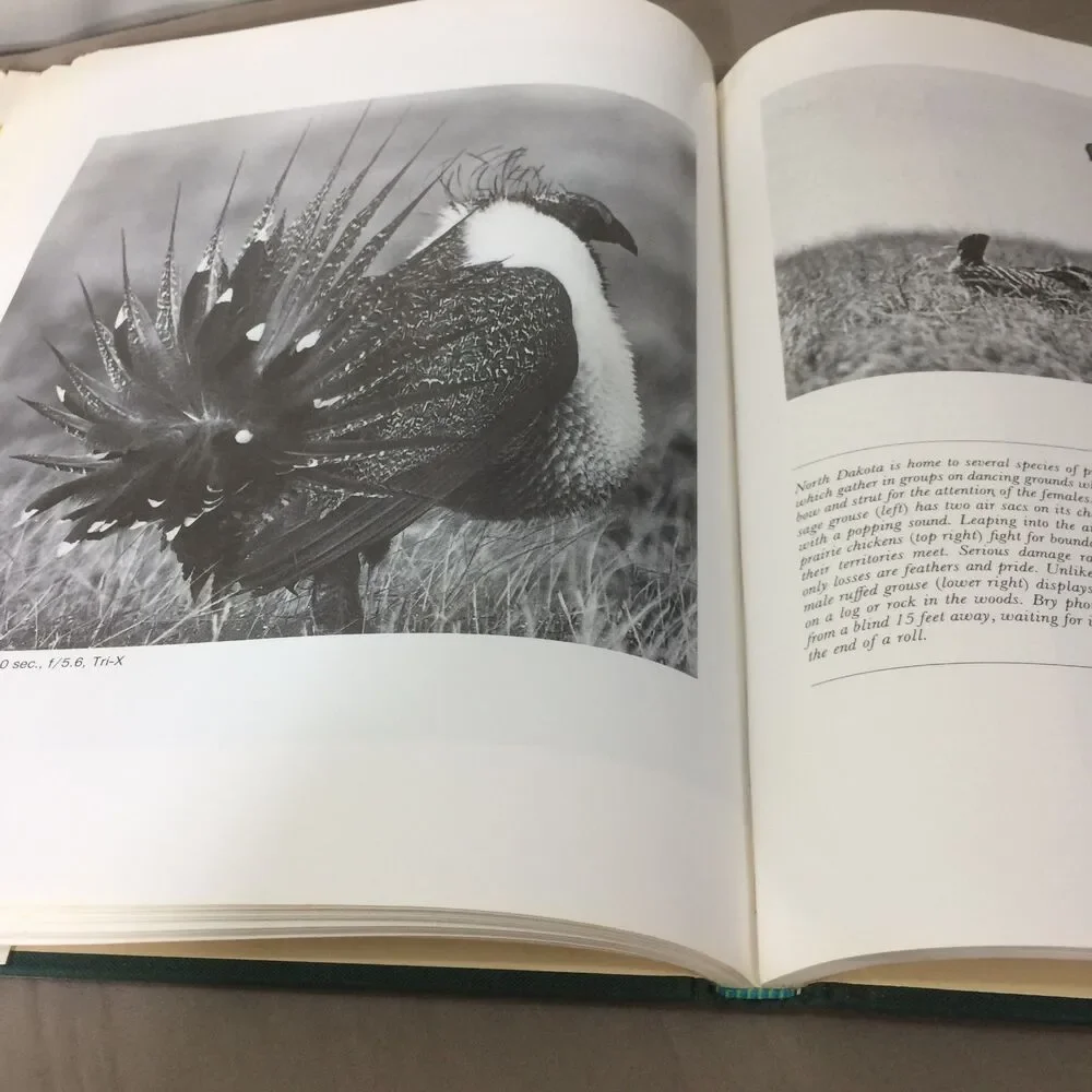 Wildlife Photography Art Technique Ten Masters Guilfoyle Rayfield 1982 HC DJ
